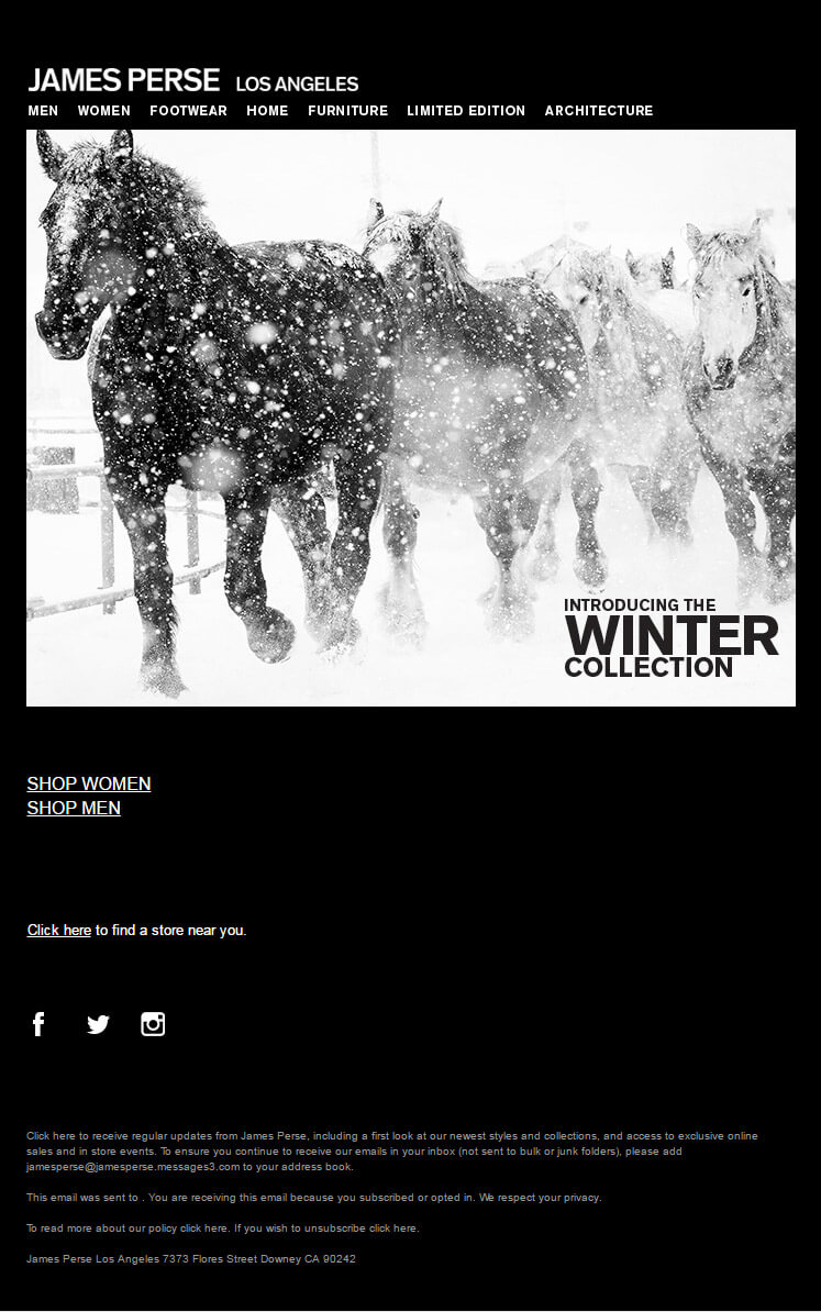 Seasonal Email Templates_James-Perse_Winter-Collection