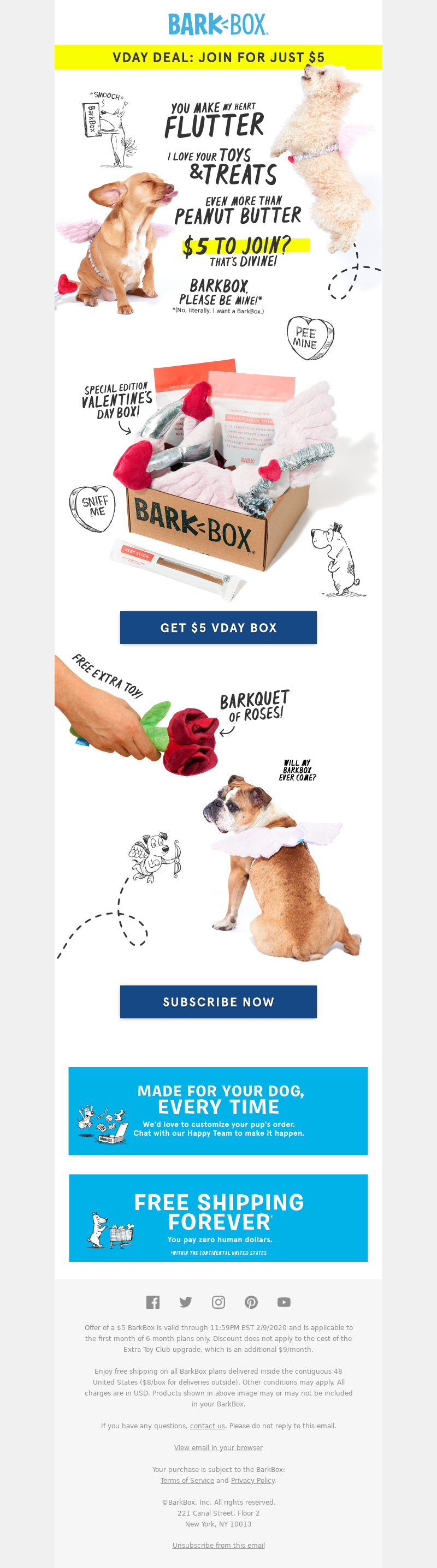 BarkShop- Valentine's Day Email