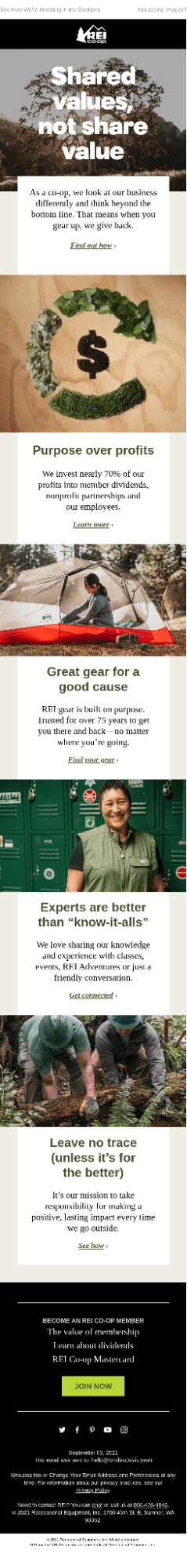 REI Email example