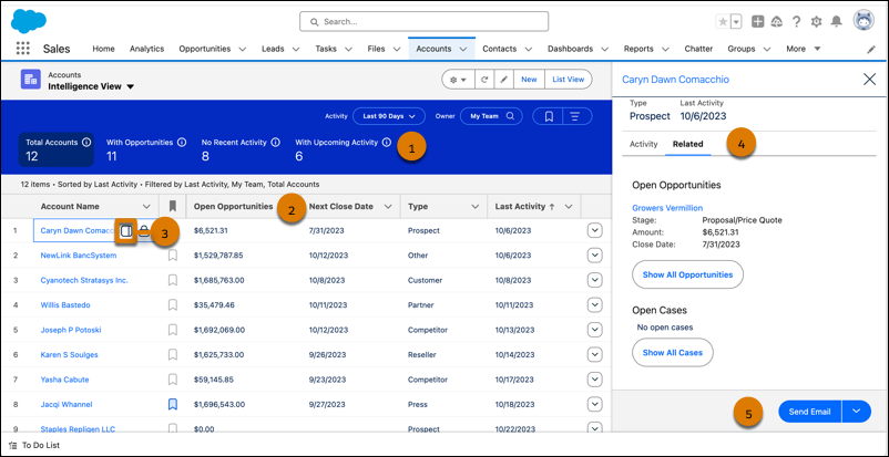 New Account Intelligence View